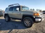 2011 Toyota FJ Cruiser