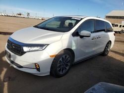 Salvage cars for sale from Copart Brighton, CO: 2022 Honda Odyssey EXL