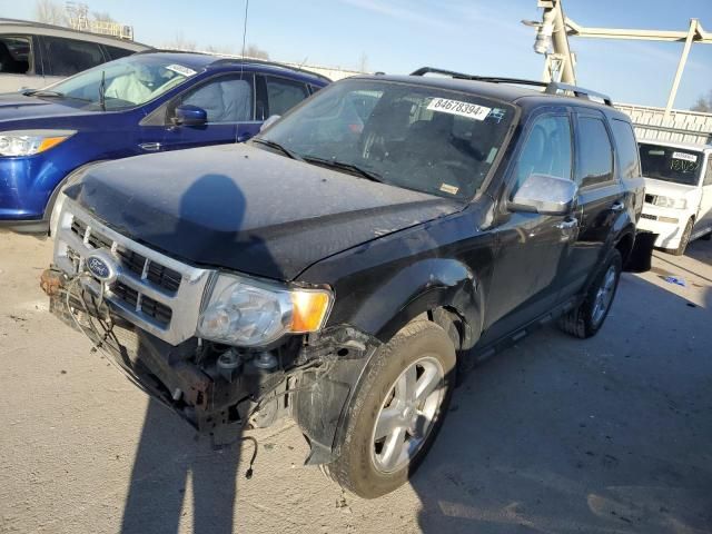 2010 Ford Escape Limited