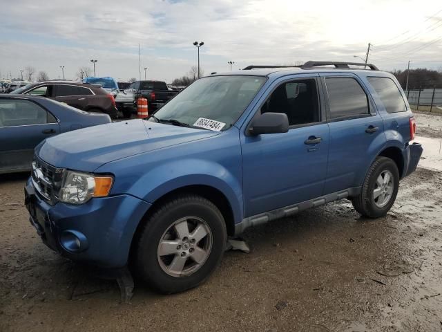 2009 Ford Escape XLT