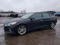 2019 Hyundai Sonata Limited en venta en Columbia Station, OH