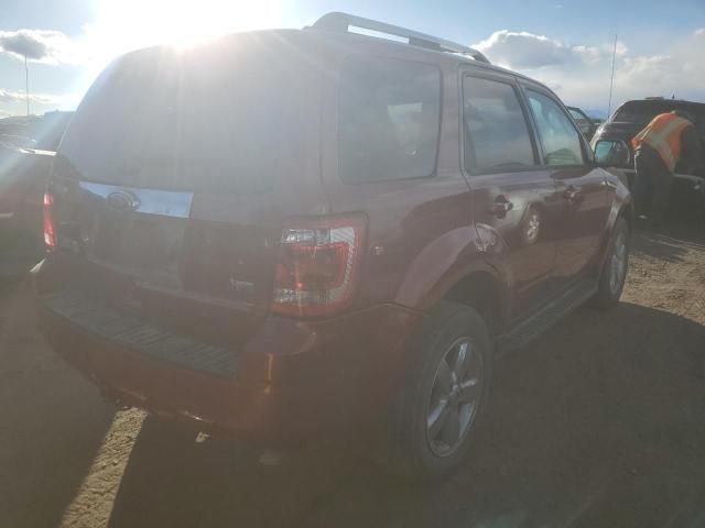 2012 Ford Escape Limited