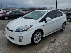 Salvage cars for sale at Louisville, KY auction: 2011 Toyota Prius