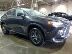 2023 Lexus NX 350