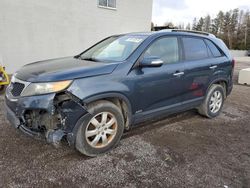 Salvage cars for sale at Cookstown, ON auction: 2011 KIA Sorento Base