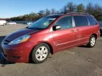 2008 Toyota Sienna CE