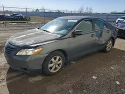 Toyota Camry Base Vehiculos salvage en venta: 2009 Toyota Camry Base