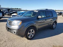 Salvage cars for sale at Harleyville, SC auction: 2013 Honda Pilot EXL