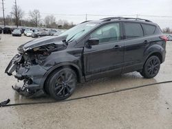 Salvage cars for sale at Lawrenceburg, KY auction: 2019 Ford Escape SE