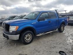 Salvage cars for sale at Wayland, MI auction: 2010 Ford F150 Supercrew