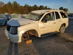 Salvage cars for sale at Harleyville, SC auction: 2006 Cadillac Escalade Luxury