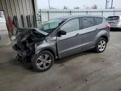 Salvage cars for sale at Fort Wayne, IN auction: 2014 Ford Escape SE