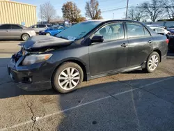 Salvage cars for sale at Moraine, OH auction: 2009 Toyota Corolla Base