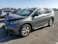 Salvage cars for sale at Rancho Cucamonga, CA auction: 2014 Honda CR-V EXL