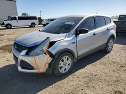 Salvage cars for sale at Tucson, AZ auction: 2013 Ford Escape S