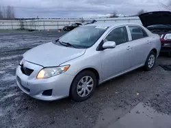 Toyota salvage cars for sale: 2010 Toyota Corolla Base