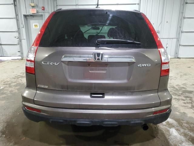 2010 Honda CR-V EXL