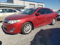 Vehiculos salvage en venta de Copart Earlington, KY: 2014 Toyota Camry Hybrid