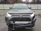 2024 Toyota Rav4 Prime SE