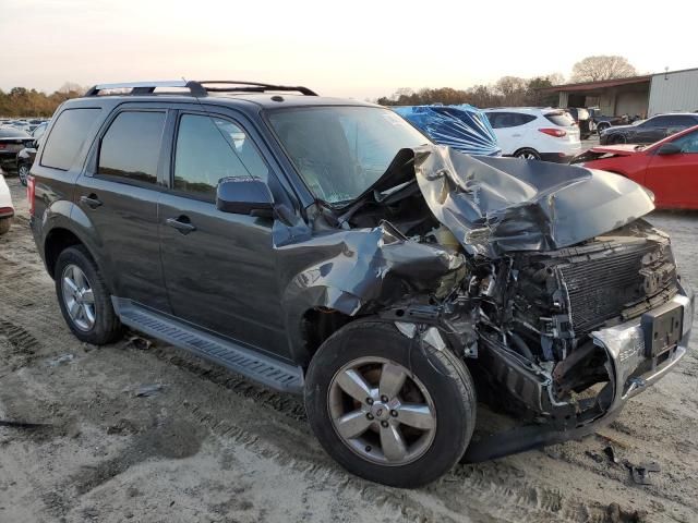 2009 Ford Escape Limited