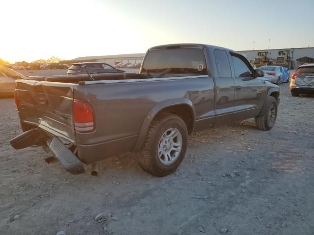 2004 Dodge Dakota SXT