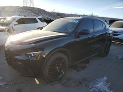 Alfa Romeo Stelvio salvage cars for sale: 2019 Alfa Romeo Stelvio