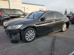 Salvage cars for sale at Rancho Cucamonga, CA auction: 2013 Honda Accord EXL