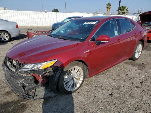 2019 Toyota Camry Hybrid