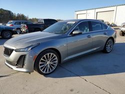 Cadillac salvage cars for sale: 2024 Cadillac CT5 Premium Luxury