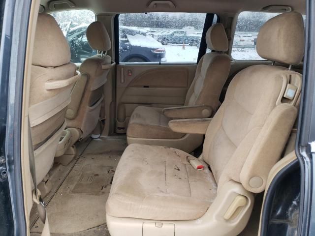 2006 Honda Odyssey EX