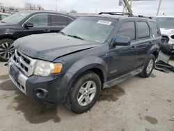 Ford Vehiculos salvage en venta: 2008 Ford Escape HEV