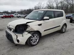 Salvage cars for sale at Ellwood City, PA auction: 2013 KIA Soul +