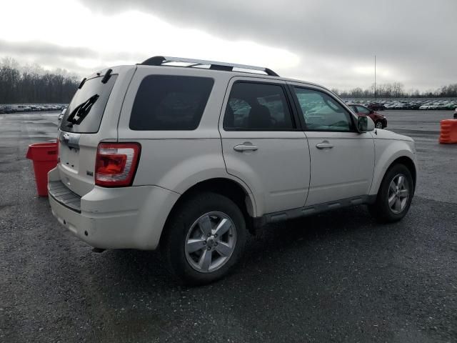 2011 Ford Escape Limited