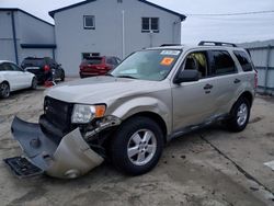 Salvage cars for sale at Windsor, NJ auction: 2010 Ford Escape XLT