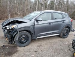 Salvage cars for sale at Cookstown, ON auction: 2019 Hyundai Tucson Limited