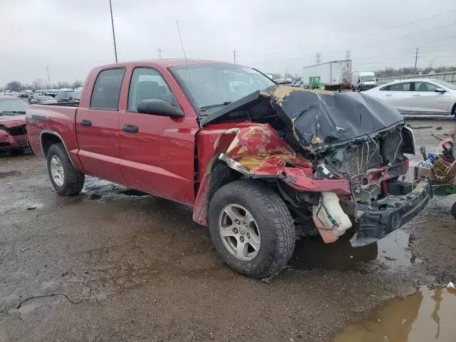 2007 Dodge Dakota Quattro