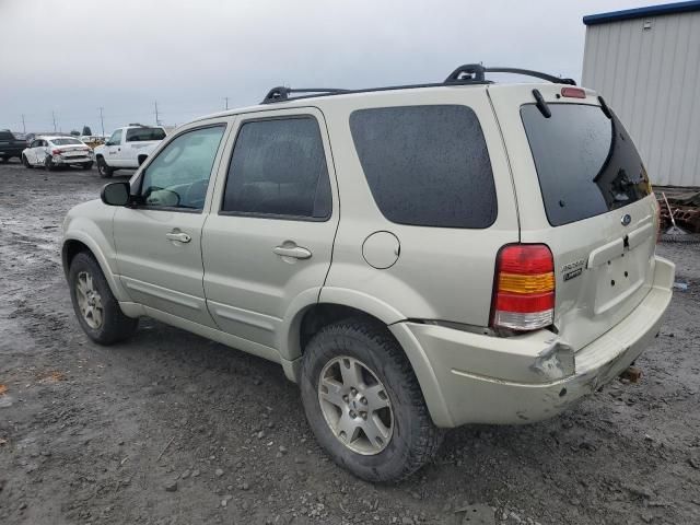 2004 Ford Escape Limited