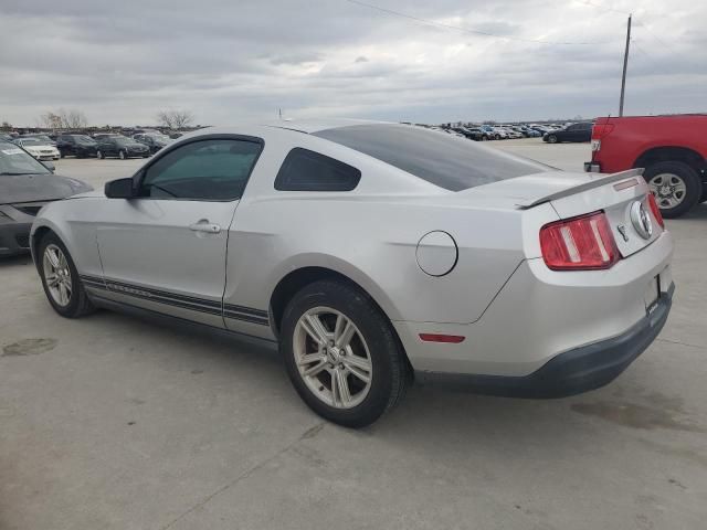 2010 Ford Mustang