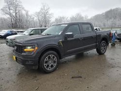 Salvage cars for sale at auction: 2024 Ford F150 STX