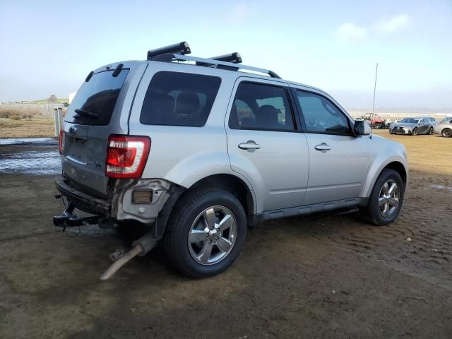 2011 Ford Escape Limited