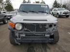 2010 Toyota FJ Cruiser