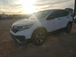 Salvage cars for sale at Phoenix, AZ auction: 2021 Honda CR-V LX