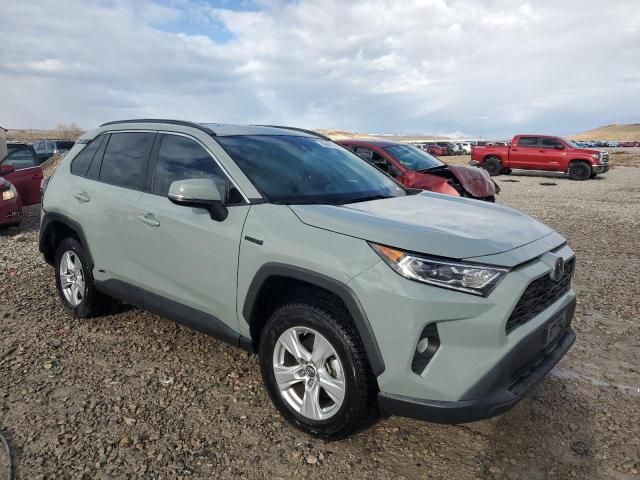 2019 Toyota Rav4 XLE