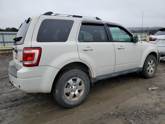 2011 Ford Escape Limited