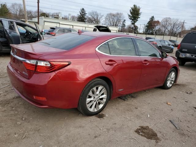 2013 Lexus ES 300H