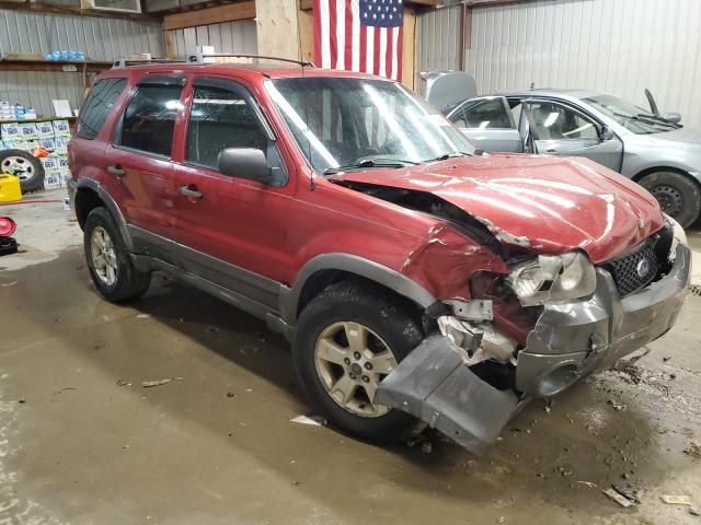 2005 Ford Escape XLT