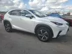 2019 Lexus NX 300 Base