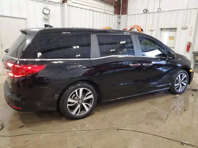 2024 Honda Odyssey Touring