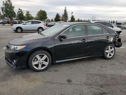 2013 Toyota Camry L en venta en Rancho Cucamonga, CA