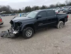 Salvage cars for sale at Madisonville, TN auction: 2017 Toyota Tacoma Double Cab